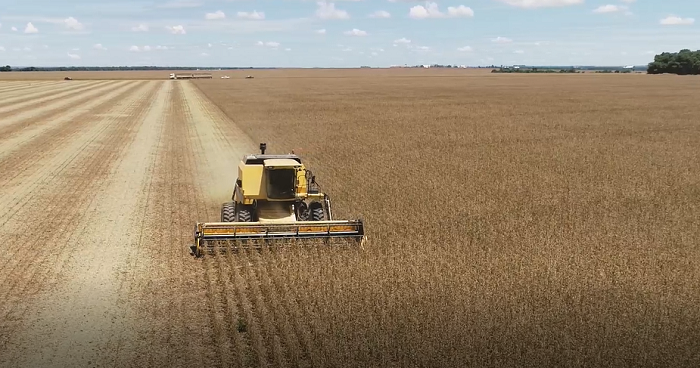 Sorriso consolida liderança na produção agrícola brasileira em 2023